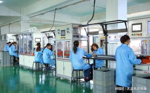 在努力中体味教育的真谛 检测与评价的深远意义